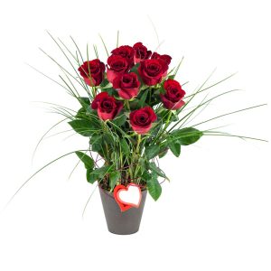Centro de diez rosas